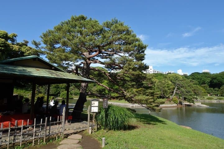 Tokyo: Edo-Period Rikugien Garden Walk with Matcha — photo 11