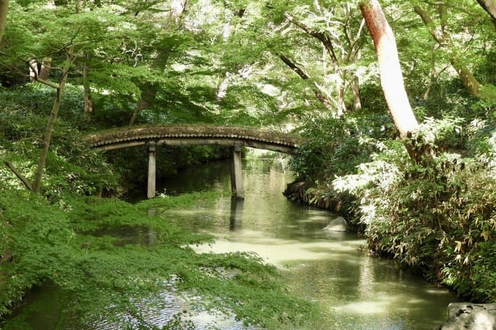 Tokyo: Edo-Period Rikugien Garden Walk with Matcha — photo 13