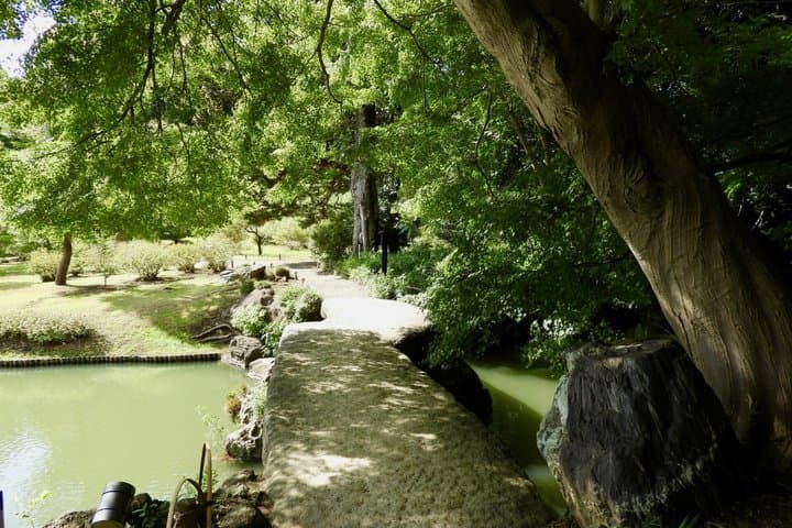 Tokyo: Edo-Period Rikugien Garden Walk with Matcha — photo 15