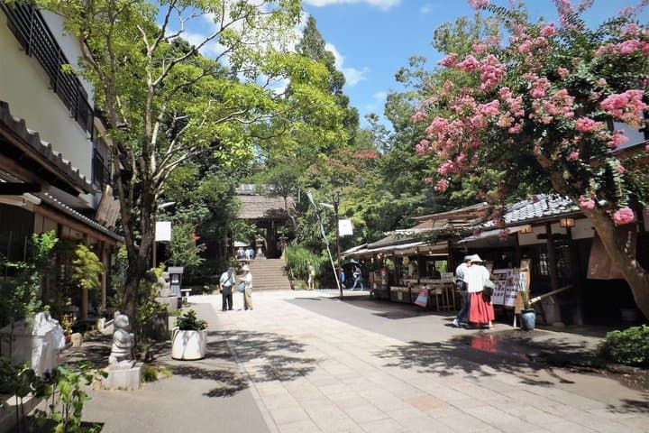 Tokyo: Jindaiji Temple & Soba Cultural Walk — photo 2