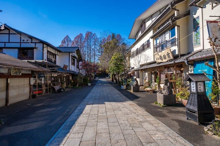 Tokyo: Jindaiji Temple & Soba Cultural Walk — photo 8