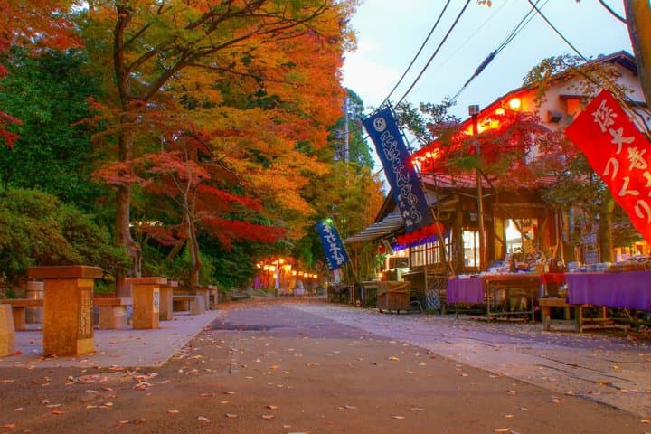 Tokyo: Jindaiji Temple & Soba Cultural Walk — photo 9