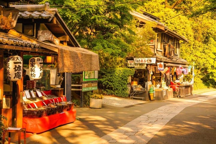 Tokyo: Jindaiji Temple & Soba Cultural Walk — photo 10