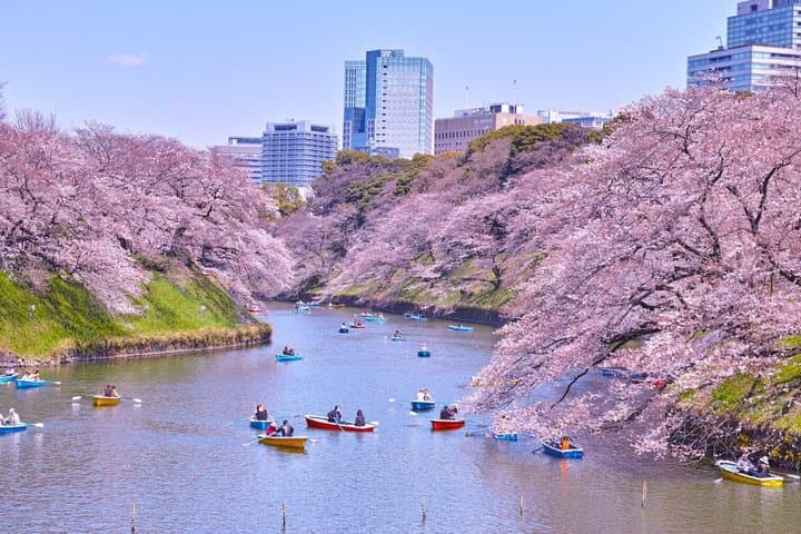 Tokyo Self-Guided Audio Tour — photo 1
