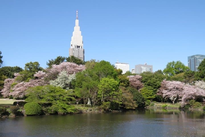 Tokyo Self-Guided Audio Tour — photo 6