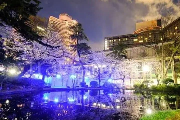 Tokyo Cherry Blossom Night Tour – Private Yozakura Experience — photo 16