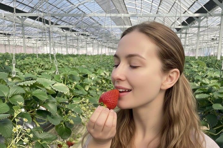 KIBI Cycling Food or Strawberry Pick Tour with licensed guide — photo 4