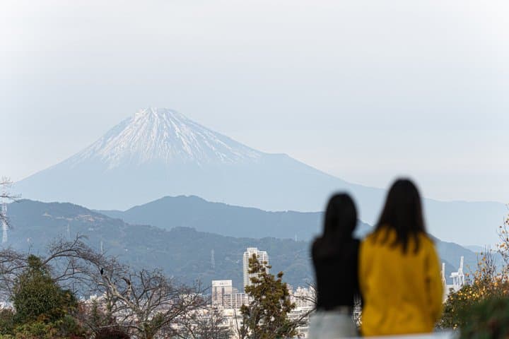 Japanese Cultural Experience at Seishintei Teahouse — photo 7