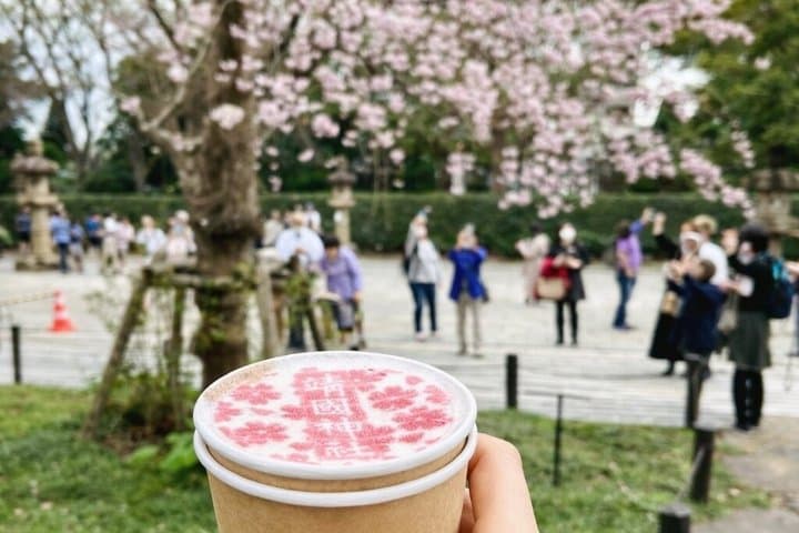 Tokyo Private Cherry Blossom Tour with a Shiba Inu & Shrine Walk — photo 8