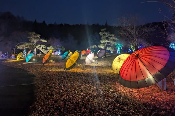 Mt. Fuji : Private Night Tour with Stargazing/Nature walk — photo 8