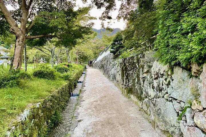 :Mt. Hiei and Historic Sakamoto Town Journey from Kyoto — photo 5