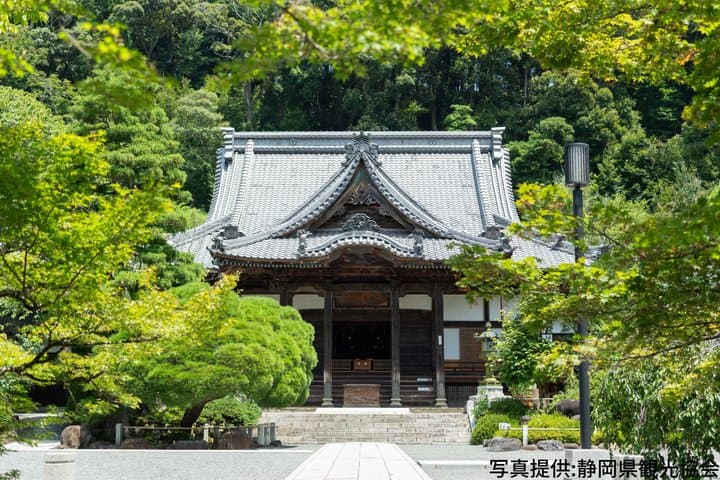 Scenic Izu and Shuzenji Culture 2 Days Tour from Mishima Station — photo 3