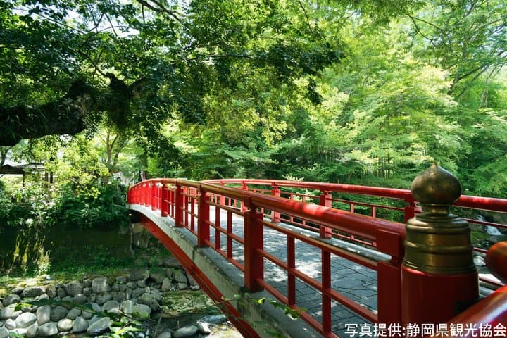 Scenic Izu and Shuzenji Culture 2 Days Tour from Mishima Station — photo 5