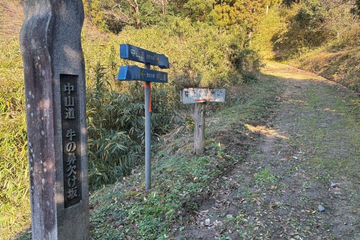 Nakasendo Trail 2days in Higashi Mino Area from Nagoya — photo 3