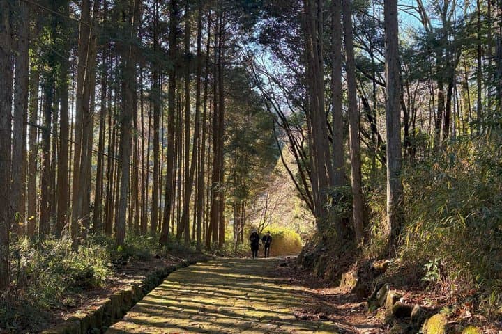 Nakasendo Trail 2days in Higashi Mino Area from Nagoya — photo 6