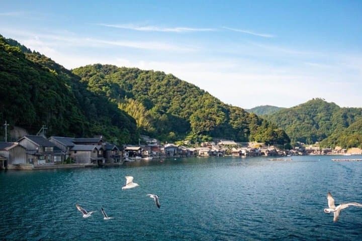Osaka Amanohashidate and Ine Scenic Views with Lunch tour — photo 11
