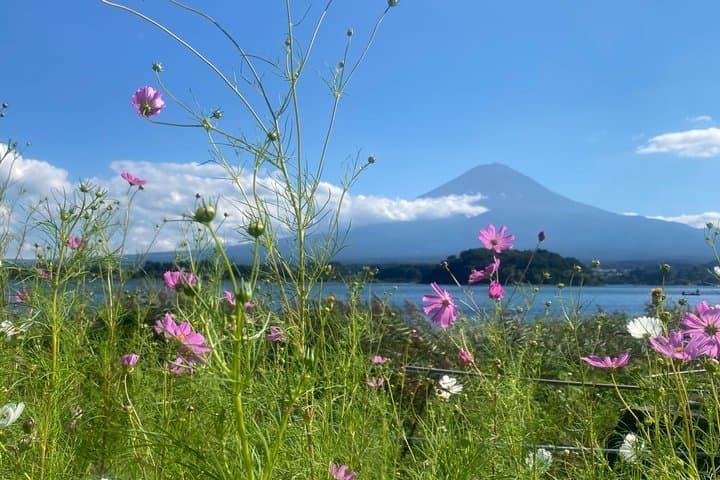 Treasures of Japan 10 Day Journey — photo 10