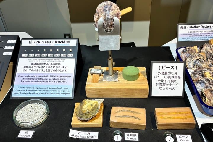 Ise & Toba Highlight Tour guided by a friendly local — photo 17