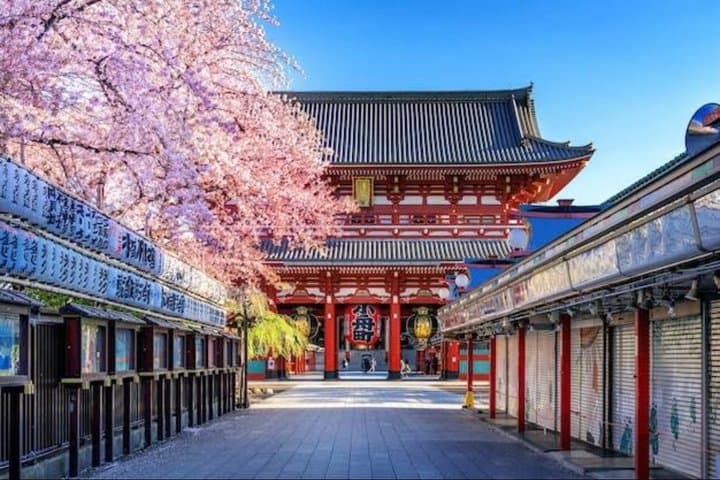 Tokyo Asakusa Kimono Cherry Blossom Tour — photo 1