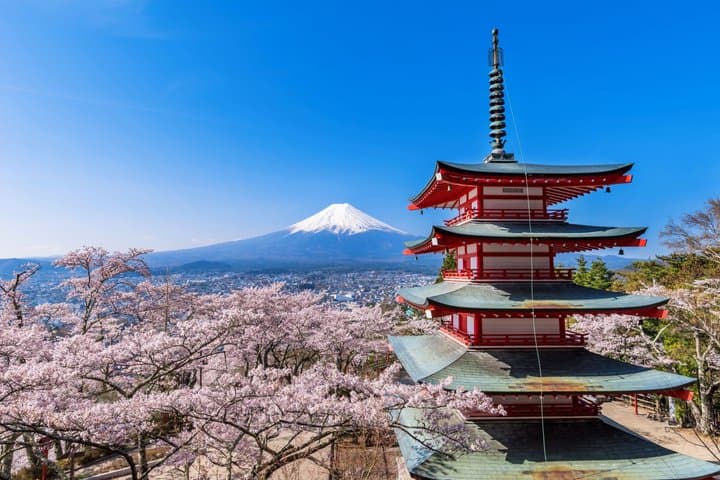 Mt. Fuji Highlight Photo Spots One Day Tour from Tokyo — photo 2