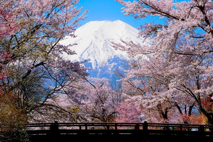 Mt. Fuji Highlight Photo Spots One Day Tour from Tokyo — photo 4