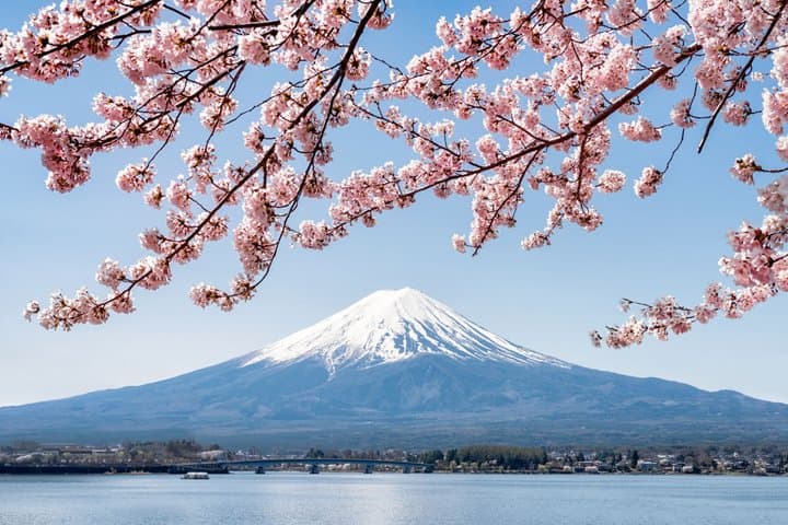 Mt. Fuji Highlight Photo Spots One Day Tour from Tokyo — photo 14