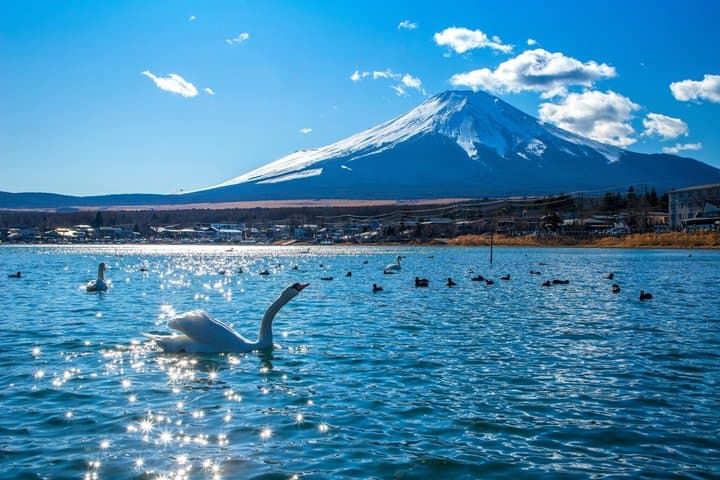 Mt. Fuji Signature 6 Scenic Spots One Day Tour from Tokyo — photo 17