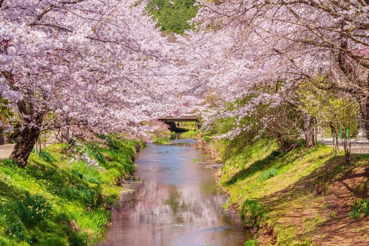Mt. Fuji Highlight Photo Spots One Day Tour from Tokyo — photo 8