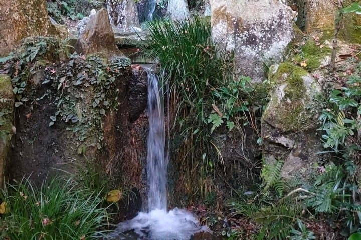 Secret Hiroshima : Visit locals hope temple with Lunch&Foot spa — photo 15
