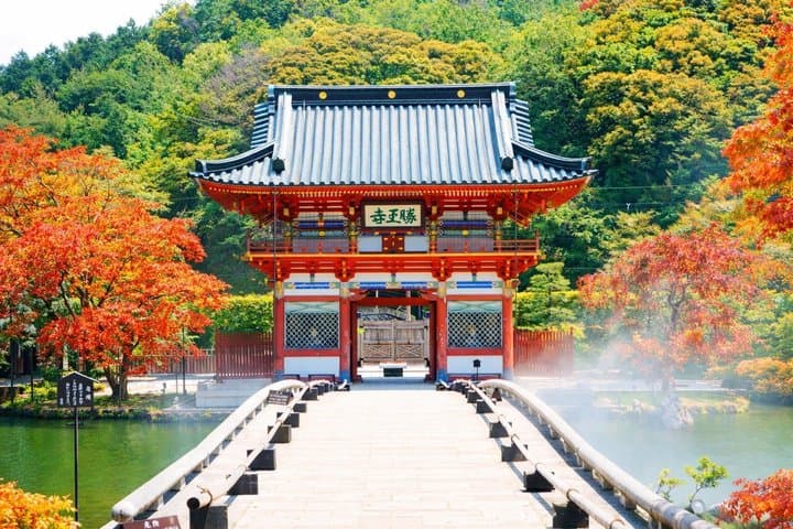 Experience Osaka Minoh Falls ,Uji, Katsuoji, Sakura Bus Tour — photo 11