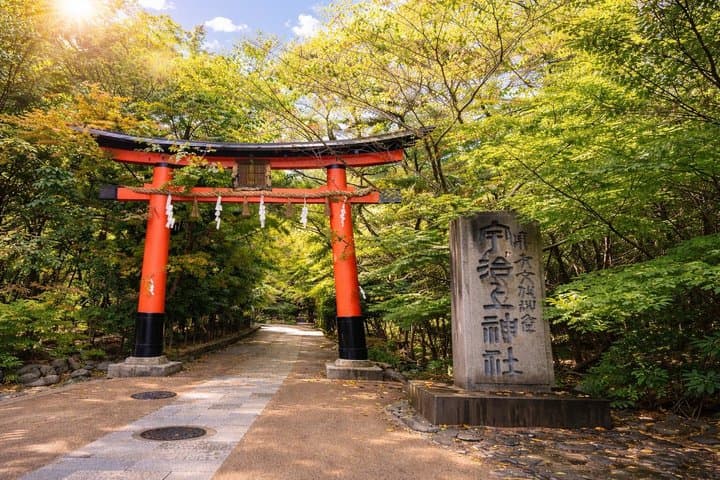 Experience Osaka Minoh Falls ,Uji, Katsuoji, Sakura Bus Tour — photo 16