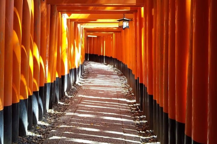 Experience Osaka Minoh Falls ,Uji, Katsuoji, Sakura Bus Tour — photo 19