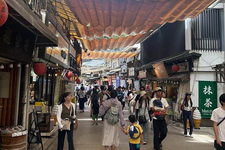Hiroshima and Miyajima Private Spanish Tour — photo 6