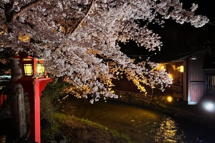 Kyoto: Izakaya & Pub Crawl Guided Walking Tour — photo 13