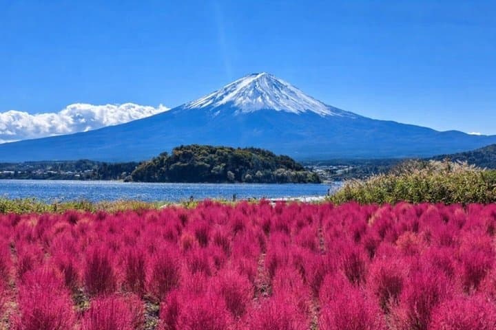 From Tokyo : Mount Fuji Customizable tour in private car — photo 2