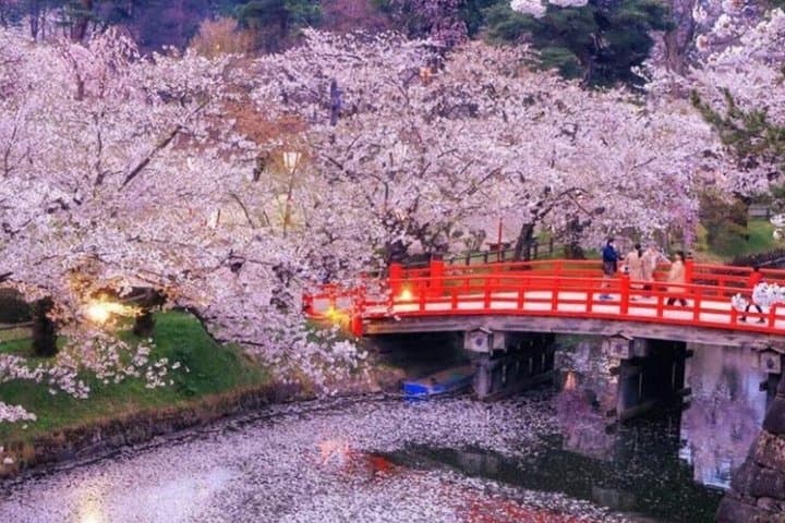 From Tokyo Private Nikko Shrines and Nature Day Tour — photo 7