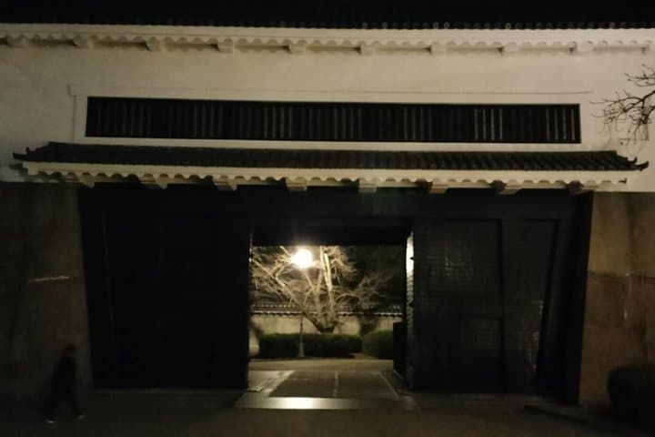 Osaka Castle After Dark: Night Photography Tour — photo 6