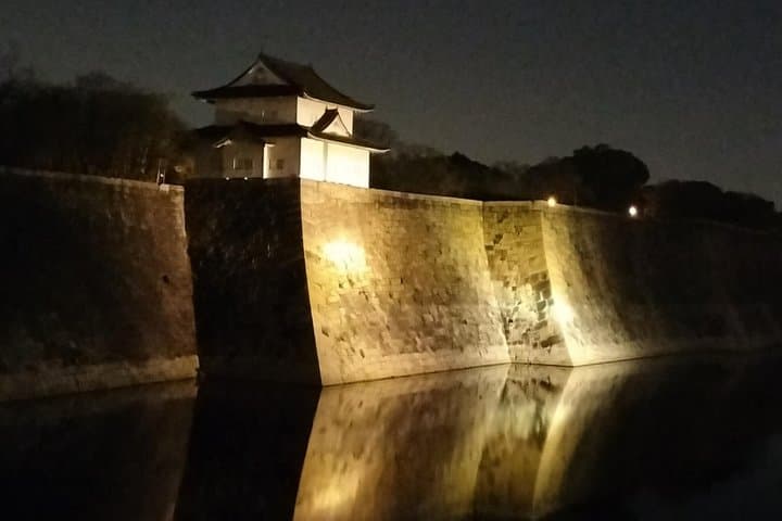 Osaka Castle After Dark: Night Photography Tour — photo 2