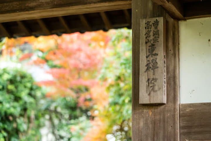Uji Matcha Tasting & Tea Ceremony with Former Geiko + Uji Walk — photo 2