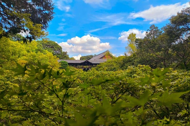 Kyoto Hidden Local Cherry Blossom Spot and Zen Garden — photo 16