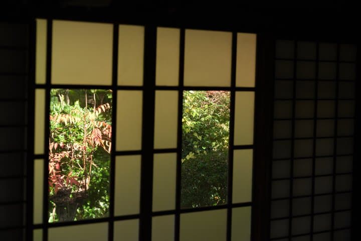 Mt. Fuji / Hakone Gateway | Authentic Tea Ceremony in Mishima — photo 5