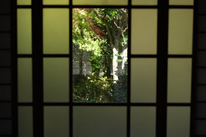 Mt. Fuji / Hakone Gateway | Authentic Tea Ceremony in Mishima — photo 10