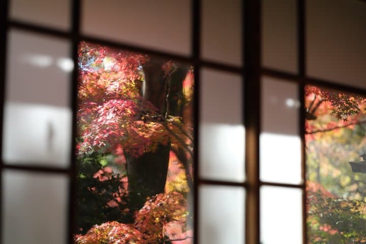 Mt. Fuji / Hakone Gateway | Authentic Tea Ceremony in Mishima — photo 11