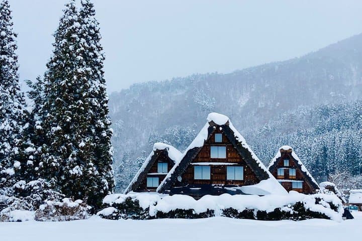 Nagoya Shirakawago and Takayama One Day Tour — photo 18
