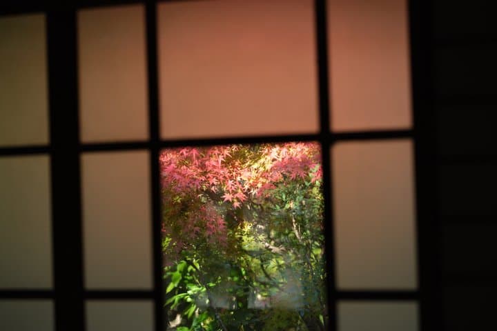 Mt. Fuji / Hakone Gateway | Authentic Tea Ceremony in Mishima — photo 14