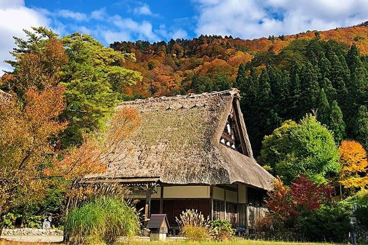 Nagoya Shirakawago and Takayama One Day Tour — photo 17