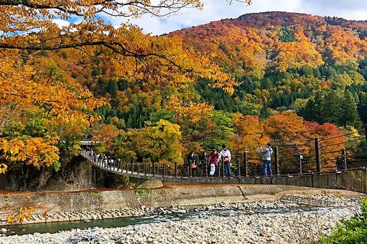 Nagoya Shirakawago and Takayama One Day Tour — photo 19