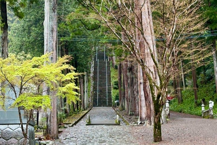 Sacred Mt. Minobu Tour: Kuonji Temple Visit & Buddhist Lunch — photo 8