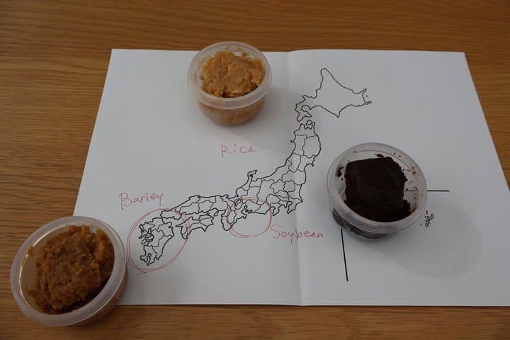 Miso Making + Sweet Amazake Dessert Experience in Tokyo — photo 14