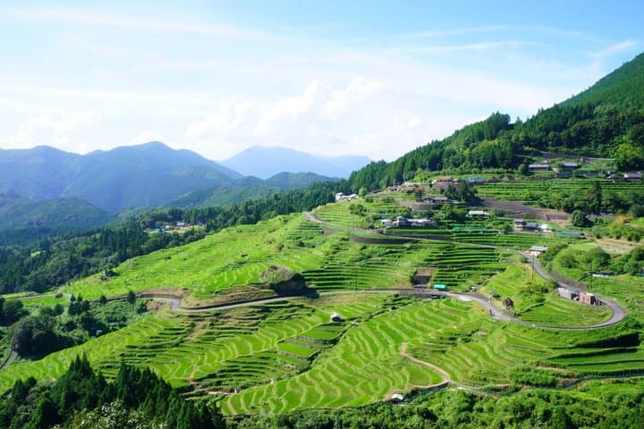 History Learning: 2D1N Kumano Kodo Iseji Tour with Local Guide — photo 4